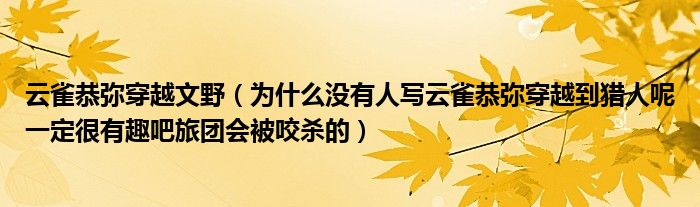 云雀恭弥穿越文野（为什么没有人写云雀恭弥穿越到猎人呢一定很有趣吧旅团会被咬杀的）