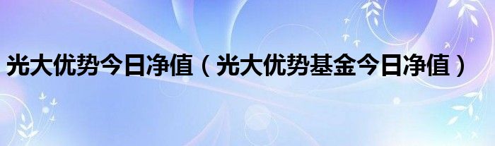 光大优势今日净值（光大优势基金今日净值）