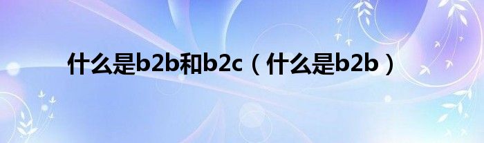 什么是b2b和b2c（什么是b2b）