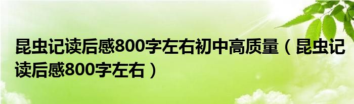 昆虫记读后感800字左右初中高质量（昆虫记读后感800字左右）