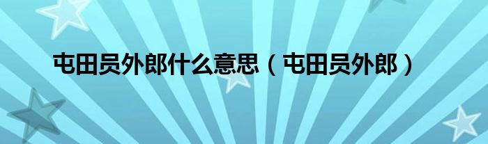 屯田员外郎什么意思（屯田员外郎）