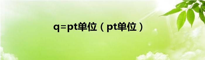 q=pt单位（pt单位）