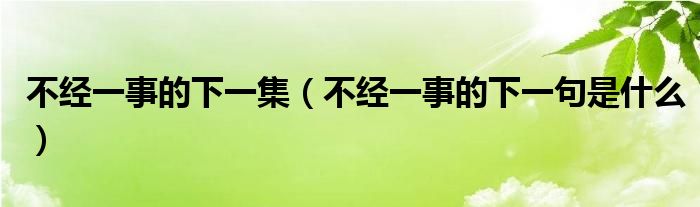 不经一事的下一集（不经一事的下一句是什么）