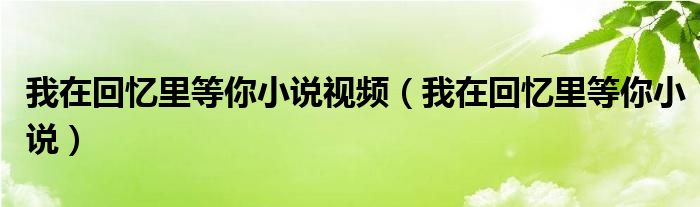 我在回忆里等你小说视频（我在回忆里等你小说）