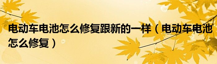 电动车电池怎么修复跟新的一样（电动车电池怎么修复）