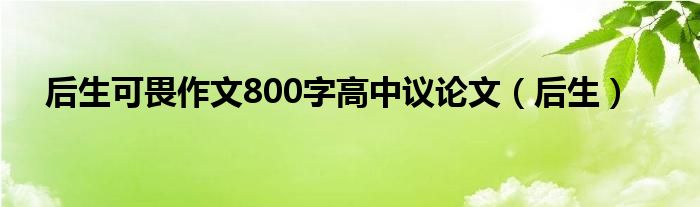 后生可畏作文800字高中议论文（后生）