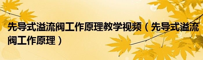 先导式溢流阀工作原理教学视频（先导式溢流阀工作原理）