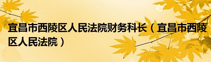 宜昌市西陵区人民法院财务科长（宜昌市西陵区人民法院）