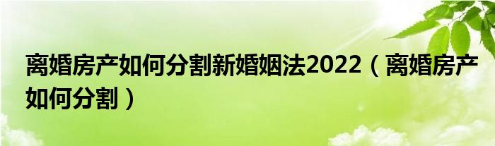 离婚房产如何分割新婚姻法2022（离婚房产如何分割）