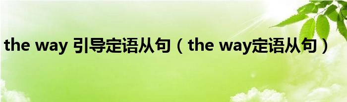 the way 引导定语从句（the way定语从句）