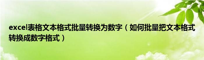 excel表格文本格式批量转换为数字（如何批量把文本格式转换成数字格式）