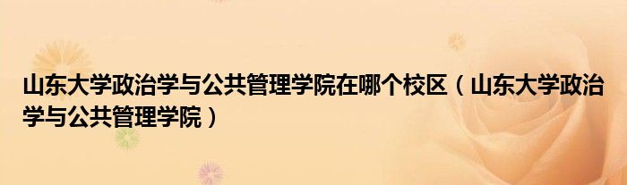 山东大学政治学与公共管理学院在哪个校区（山东大学政治学与公共管理学院）