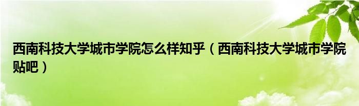 西南科技大学城市学院怎么样知乎（西南科技大学城市学院贴吧）