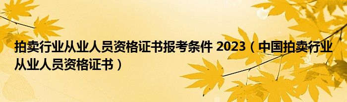 拍卖行业从业人员资格证书报考条件 2023（中国拍卖行业从业人员资格证书）