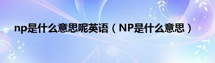 np是什么意思呢英语（NP是什么意思）