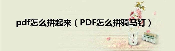 pdf怎么拼起来（PDF怎么拼骑马钉）