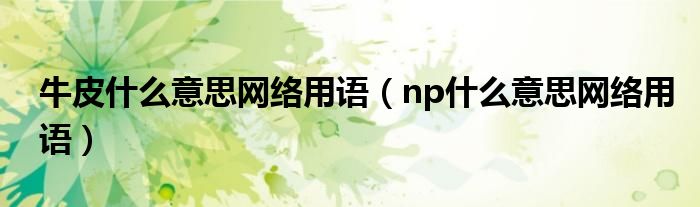 牛皮什么意思网络用语（np什么意思网络用语）