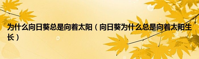 为什么向日葵总是向着太阳（向日葵为什么总是向着太阳生长）