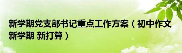 新学期党支部书记重点工作方案（初中作文  新学期 新打算）