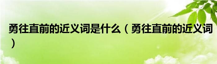 勇往直前的近义词是什么（勇往直前的近义词）