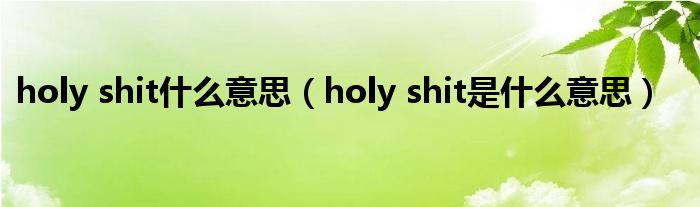 holy shit什么意思（holy shit是什么意思）