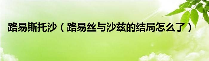 路易斯托沙（路易丝与沙兹的结局怎么了）