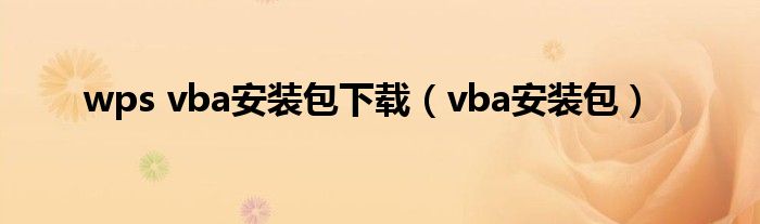 wps vba安装包下载（vba安装包）