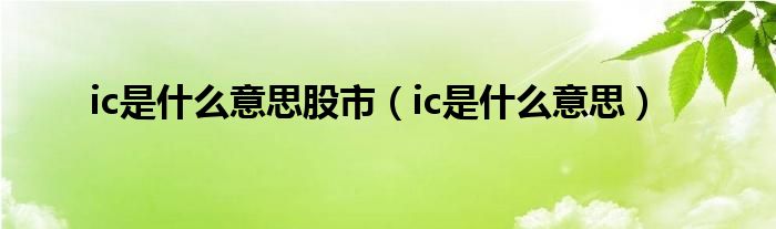 ic是什么意思股市（ic是什么意思）