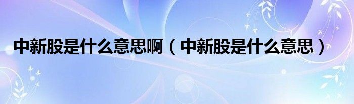 中新股是什么意思啊（中新股是什么意思）