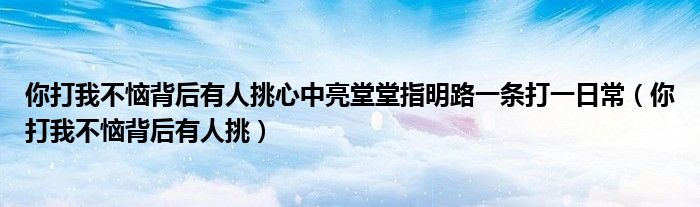 你打我不恼背后有人挑心中亮堂堂指明路一条打一日常（你打我不恼背后有人挑）