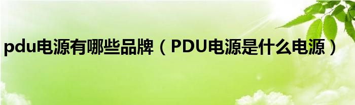 pdu电源有哪些品牌（PDU电源是什么电源）