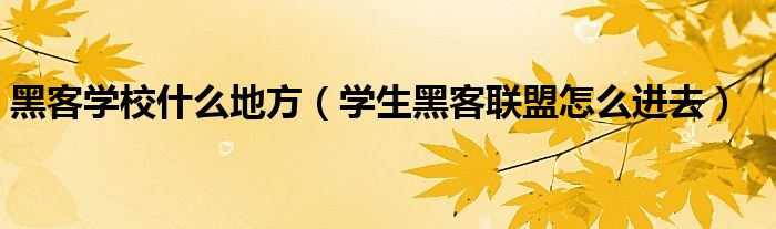 黑客学校什么地方（学生黑客联盟怎么进去）