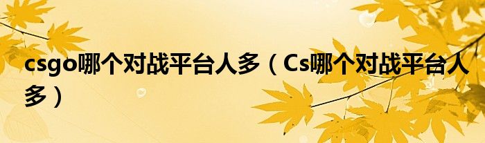 csgo哪个对战平台人多（Cs哪个对战平台人多）