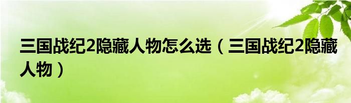 三国战纪2隐藏人物怎么选（三国战纪2隐藏人物）