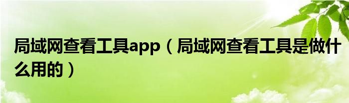 局域网查看工具app（局域网查看工具是做什么用的）