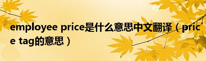 employee price是什么意思中文翻译（price tag的意思）