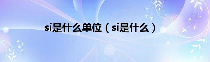 si是什么单位（si是什么）