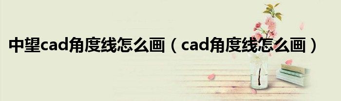 中望cad角度线怎么画（cad角度线怎么画）