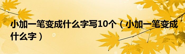 小加一笔变成什么字写10个（小加一笔变成什么字）