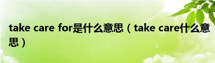 take care for是什么意思（take care什么意思）