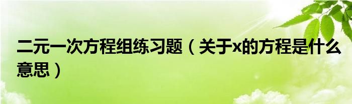 二元一次方程组练习题（关于x的方程是什么意思）