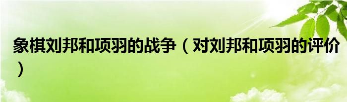 象棋刘邦和项羽的战争（对刘邦和项羽的评价）