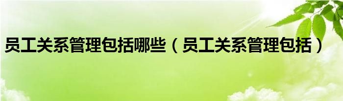 员工关系管理包括哪些（员工关系管理包括）