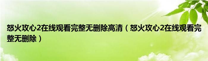 怒火攻心2在线观看完整无删除高清（怒火攻心2在线观看完整无删除）