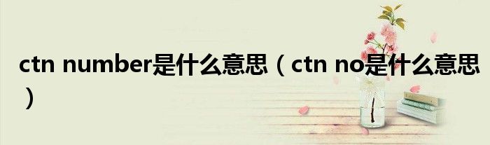 ctn number是什么意思（ctn no是什么意思）