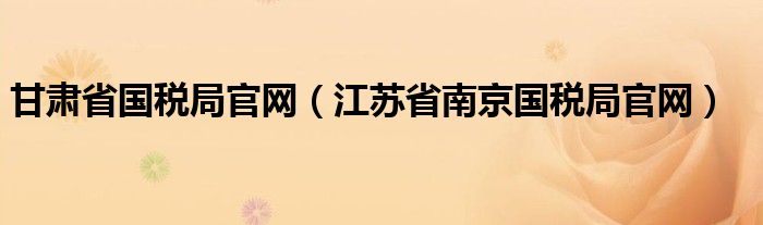 甘肃省国税局官网（江苏省南京国税局官网）