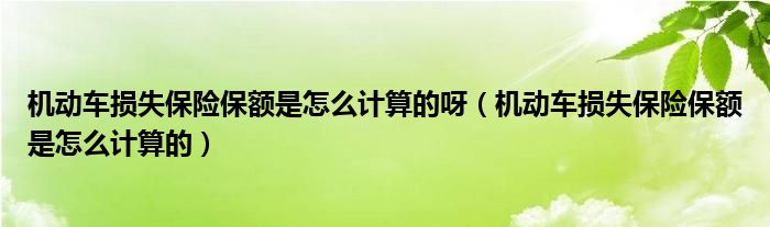 机动车损失保险保额是怎么计算的呀（机动车损失保险保额是怎么计算的）