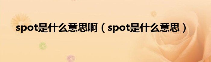 spot是什么意思啊（spot是什么意思）