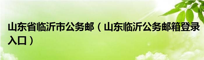 山东省临沂市公务邮（山东临沂公务邮箱登录入口）