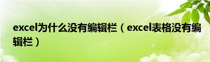 excel为什么没有编辑栏（excel表格没有编辑栏）